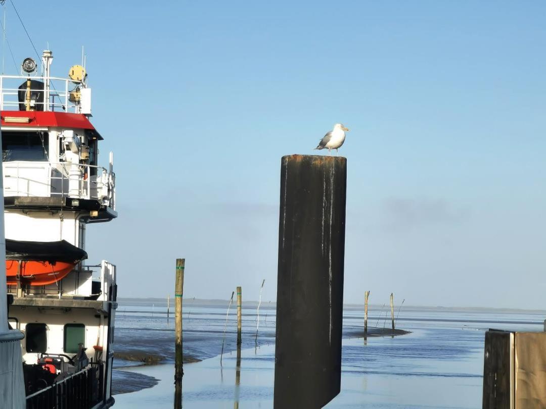 Schicke Ferienwohnung Julia An Der Nordsee Lutetsburg Exteriér fotografie